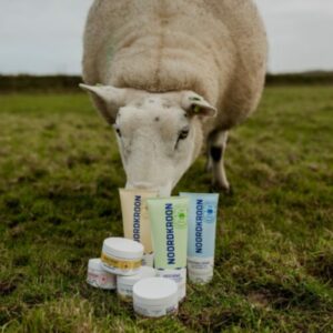 Noordkroon schaap e1659887562501 300x300